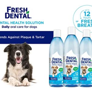 Naturel Promise Fresh Dental Water Additive - Dental Health Solution for Dogs - Easy to Use - Helps Clean Teeth - Freshens Breath Up to 12 Hours - No Brushing Required - 18 Fl Oz, 3 Pack