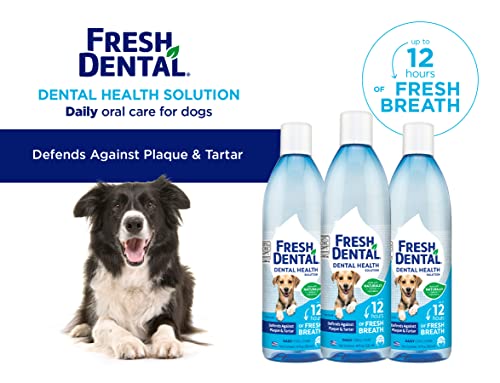 Naturel Promise Fresh Dental Water Additive - Dental Health Solution for Dogs - Easy to Use - Helps Clean Teeth - Freshens Breath Up to 12 Hours - No Brushing Required - 18 Fl Oz, 3 Pack