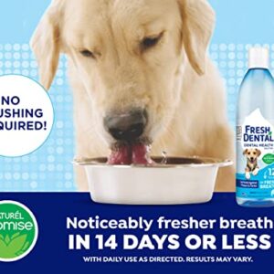 Naturel Promise Fresh Dental Water Additive - Dental Health Solution for Dogs - Easy to Use - Helps Clean Teeth - Freshens Breath Up to 12 Hours - No Brushing Required - 18 Fl Oz, 3 Pack