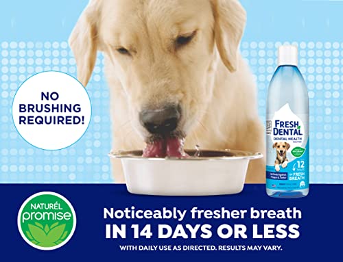 Naturel Promise Fresh Dental Water Additive - Dental Health Solution for Dogs - Easy to Use - Helps Clean Teeth - Freshens Breath Up to 12 Hours - No Brushing Required - 18 Fl Oz, 3 Pack