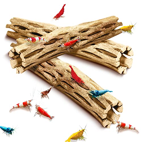 SunGrow Cholla Wood, 5” Climbing Logs, Chew Toy, Aquarium Fish, Snail & Shrimp Driftwood, Décor Adds Raw Beauty, 3 Pack