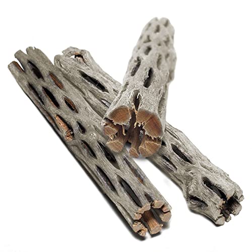 SunGrow Cholla Wood, 5” Climbing Logs, Chew Toy, Aquarium Fish, Snail & Shrimp Driftwood, Décor Adds Raw Beauty, 3 Pack