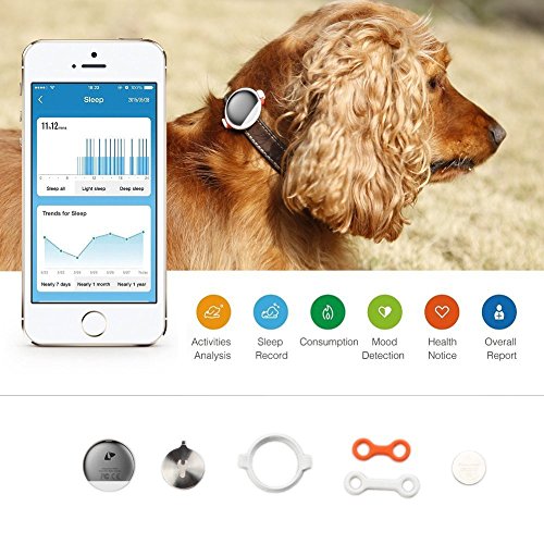 PETKIT 'FIT' Lightweight Water-resistant Smart Activity and Mood Monitoring Pet Dog Cat Activity Tracker Monitor, One Size, Gold