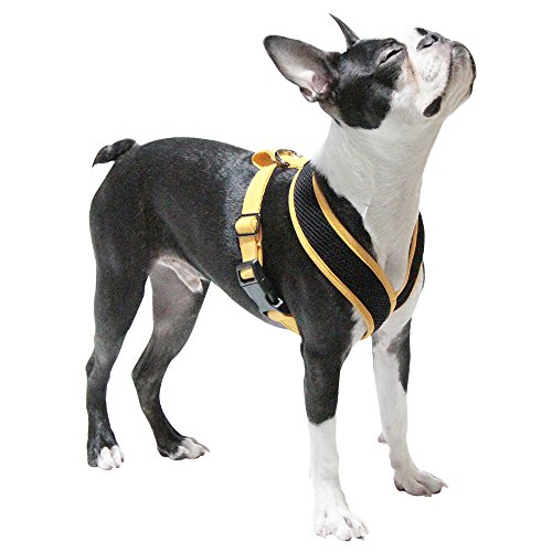 Gooby - Active X Head-in Harness, Choke Free Small Dog Harness with Synthetic Lambskin Soft Strap, Orange, Large