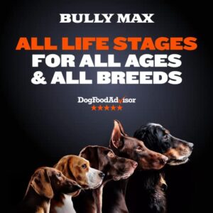 Bully Max High Performance Super Premium Dog Food (15 lbs.)