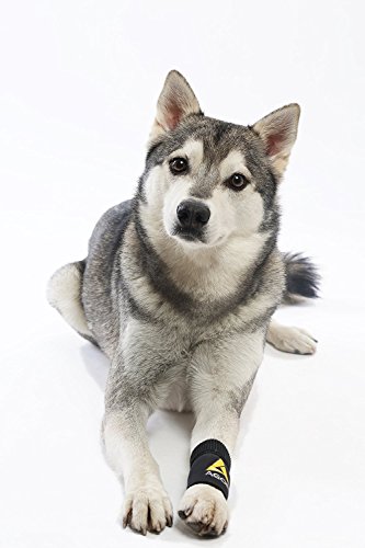 AGON® Dog Canine Front Leg Brace Paw Compression Wraps with Protects Wounds Brace Heals and Prevents Injuries and Sprains Helps with Loss of Stability Caused by Arthritis (Small/Medium)