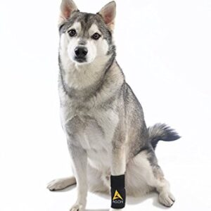 AGON® Dog Canine Front Leg Brace Paw Compression Wraps with Protects Wounds Brace Heals and Prevents Injuries and Sprains Helps with Loss of Stability Caused by Arthritis (Small/Medium)