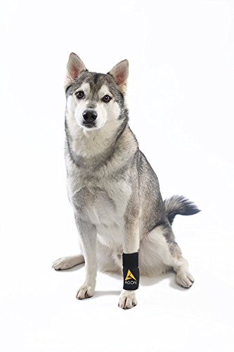 AGON® Dog Canine Front Leg Brace Paw Compression Wraps with Protects Wounds Brace Heals and Prevents Injuries and Sprains Helps with Loss of Stability Caused by Arthritis (Small/Medium)