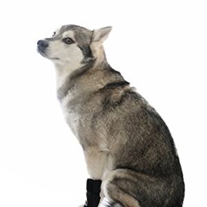 AGON® Dog Canine Front Leg Brace Paw Compression Wraps with Protects Wounds Brace Heals and Prevents Injuries and Sprains Helps with Loss of Stability Caused by Arthritis (Small/Medium)