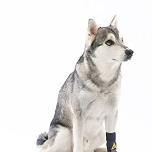 AGON® Dog Canine Front Leg Brace Paw Compression Wraps with Protects Wounds Brace Heals and Prevents Injuries and Sprains Helps with Loss of Stability Caused by Arthritis (Small/Medium)