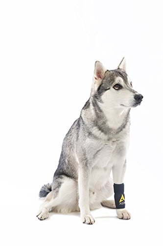 AGON® Dog Canine Front Leg Brace Paw Compression Wraps with Protects Wounds Brace Heals and Prevents Injuries and Sprains Helps with Loss of Stability Caused by Arthritis (Small/Medium)