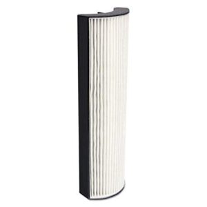 Ionic Pro Ãƒâ€šÃ‚ Replacement Filter For Allergy ProÃƒâ€šÃ‚ 200 Air Purifier