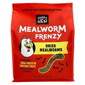 Happy Hen Treats Mealworm Frenzy Pet Treat (1 Pouch), 5 Lb