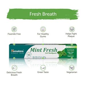 Himalaya Mint Fresh Gel Toothpaste, Fluoride Free to Reduce Plaque & Brighten Teeth, 6.17 oz, 2 Pack