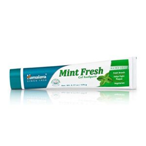 Himalaya Mint Fresh Gel Toothpaste, Fluoride Free to Reduce Plaque & Brighten Teeth, 6.17 oz, 2 Pack