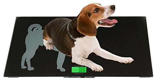 LW Measurements LCVS300 Veterinary Scale 330 lb x 0.1lb 33" x 16", LCVS-330