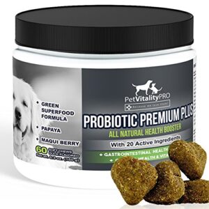 petvitalitypro probiotics for dogs with natural digestive enzymes ● 4 bill cfus/2 soft chews ● dog diarrhea upset stomach yeast gas bad breath immunity allergies skin itching hot spots ● 60 count