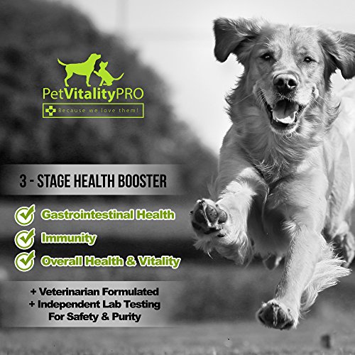 PetVitalityPRO Probiotics for Dogs with Natural Digestive Enzymes ● 4 Bill CFUs/2 Soft Chews ● Dog Diarrhea Upset Stomach Yeast Gas Bad Breath Immunity Allergies Skin Itching Hot Spots ● 60 Count