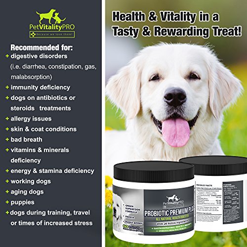 PetVitalityPRO Probiotics for Dogs with Natural Digestive Enzymes ● 4 Bill CFUs/2 Soft Chews ● Dog Diarrhea Upset Stomach Yeast Gas Bad Breath Immunity Allergies Skin Itching Hot Spots ● 60 Count