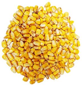 ~4 lbs whole feed corn