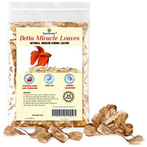 sungrow 50 pcs catappa indian almond leaves for betta fish tank aquarium, 2” water conditioner leaves, leaf also suitable for shrimp, goldfish, guppy and frogs