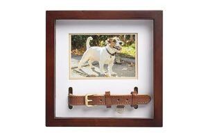 pearhead pet collar keepsake frame, pet memorial picture frame, pet owner home decor, cat or dog keepsake, 3" x 4.5" photo insert, wall mount and tabletop frame, espresso
