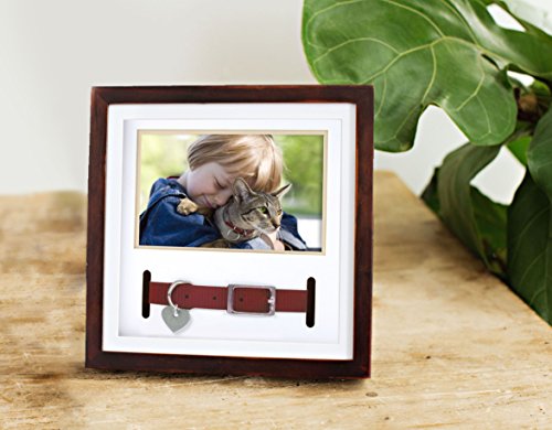 Pearhead Pet Collar Keepsake Frame, Pet Memorial Picture Frame, Pet Owner Home Decor, Cat Or Dog Keepsake, 3" x 4.5" Photo Insert, Wall Mount And Tabletop Frame, Espresso