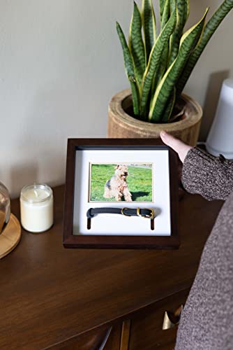 Pearhead Pet Collar Keepsake Frame, Pet Memorial Picture Frame, Pet Owner Home Decor, Cat Or Dog Keepsake, 3" x 4.5" Photo Insert, Wall Mount And Tabletop Frame, Espresso