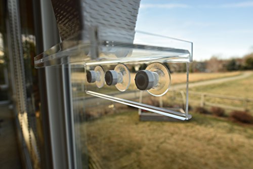 LaBrinx Designs Medium Suction Cup Shelf - Live Plants, Windows, and Bathrooms