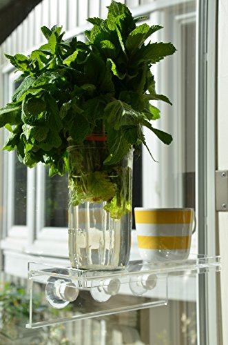 LaBrinx Designs Medium Suction Cup Shelf - Live Plants, Windows, and Bathrooms