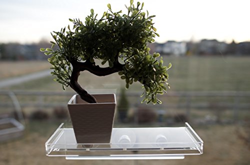 LaBrinx Designs Medium Suction Cup Shelf - Live Plants, Windows, and Bathrooms