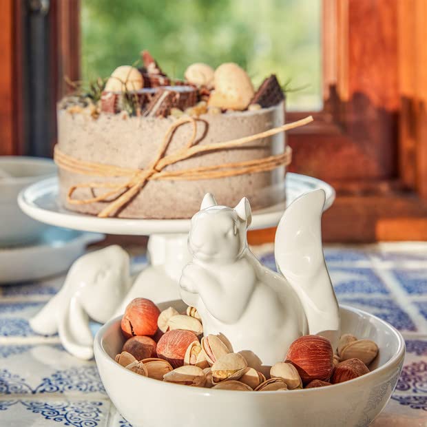 LA JOLIE MUSE Nut Bowl Snack Serving Dish - Ceramic Squirrel Candy Jewelry Dish for Pistachio Peanuts, House Warming Hostess Gifts