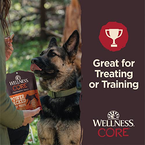 Wellness CORE Power Packed Dog Treats (Previously Pure Rewards), Grain-Free Tender Jerky Treats, Made in USA (Beef Recipe, 4-Ounce Bag)