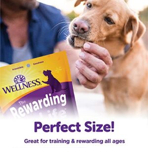 Wellness Rewarding Life Grain-Free Soft Dog Treats (Previously Wellbites), Made in USA with Natural Ingredients, Ideal for Training (Lamb & Salmon, 6-Ounce Bag)