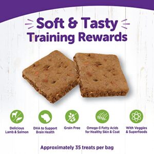 Wellness Rewarding Life Grain-Free Soft Dog Treats (Previously Wellbites), Made in USA with Natural Ingredients, Ideal for Training (Lamb & Salmon, 6-Ounce Bag)