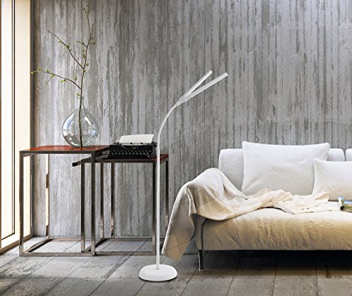 Daylight Company Duolamp, Floor Lamp, Standing Lamp for Living Room, Bedroom, Salon, Office, Touch Control, Flexible Arm, Sleek Design, Multipurpose, Double Head, 4 Brightness Levels - White 10W