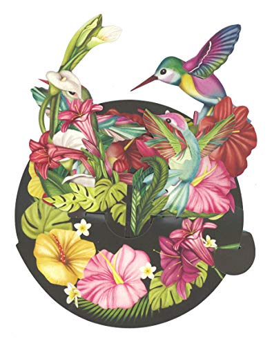 Santoro Pirouettes PS047 Hummingbirds 3D Pop up Card