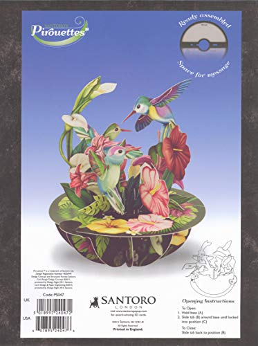 Santoro Pirouettes PS047 Hummingbirds 3D Pop up Card