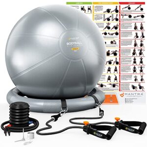 exercise ball chair, yoga ball chair with resistance bands, pregnancy ball with stability base & poster. balance ball chair pilates ball for fitness, home gym, physio, birthing, office & working out