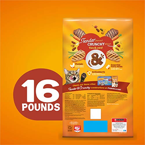 Purina Friskies Dry Cat Food, Tender & Crunchy Combo - 16 lb. Bag