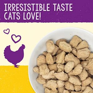 Stella & Chewy’s Freeze-Dried Raw Cat Dinner Morsels – Grain Free, Protein Rich Cat & Kitten Food – Chick Chick Chicken Recipe – 18 oz Bag