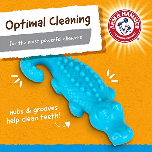 Arm & Hammer For Pets Nubbies Dental Toys Gator Dental Chew Toy for Dogs | Best Dog Chew Toy For Moderate Chewers | Reduces Plaque & Tartar Buildup Without Brushing, Gator