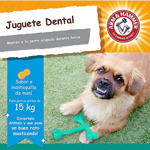 Arm & Hammer Ora-Play T-Bone Dental Chew Toy for Dogs | Best Dog Chew Toy For the Toughest Chewers | Reduces Plaque & Tartar Buildup Without Brushing, Peanut Butter Flavor