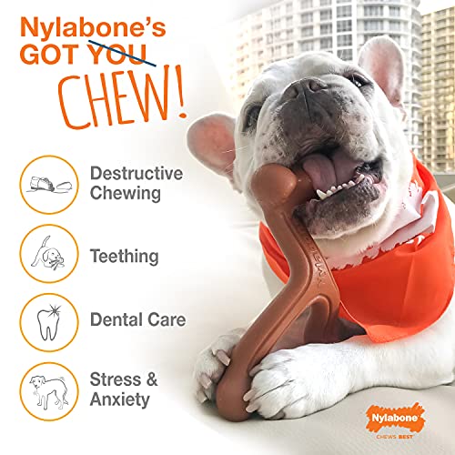 Nylabone Power Chew Flavor Frenzy Durable Dog Chew Toys Twin Pack Bacon Cheeseburger & Apple Pie Small/Regular (2 Count)