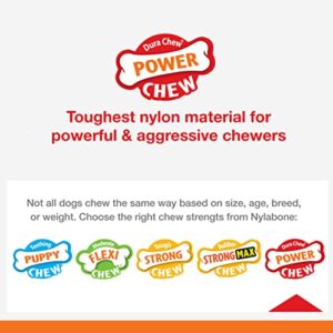 Nylabone Power Chew Flavor Frenzy Durable Dog Chew Toys Twin Pack Bacon Cheeseburger & Apple Pie Small/Regular (2 Count)