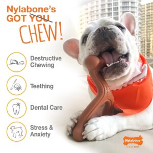 Nylabone Power Chew Flavor Frenzy Durable Dog Chew Toys Twin Pack Funnel Cake & Shish Kabob Large/Giant (2 Count)