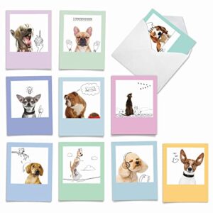the best card company - 10 boxed thank you cards w/envelopes, animal appreciation stationery set for men women kids - dogs & doodles m6582tyg
