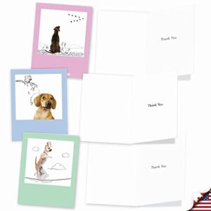 The Best Card Company - 10 Boxed Thank You Cards w/Envelopes, Animal Appreciation Stationery Set for Men Women Kids - Dogs & Doodles M6582TYG