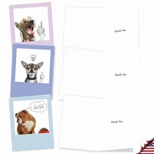 The Best Card Company - 10 Boxed Thank You Cards w/Envelopes, Animal Appreciation Stationery Set for Men Women Kids - Dogs & Doodles M6582TYG