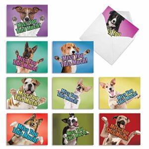 the best card company - 10 blank assorted notecards w/envelopes (4 x 5.12 inch) - boxed greetings with dogs, thinking of you sentiments - pet puppies, animal - dog miss you this much m6600myb